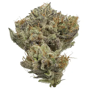 Photo of Sweet Cinnamon Octane Trimmed | Gold