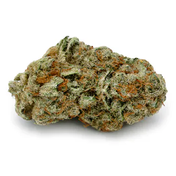 Photo of Pennywise 1:1