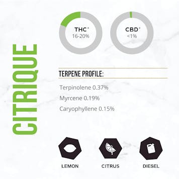 Photo of Namaste Citrique