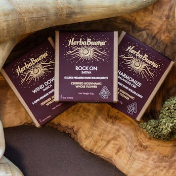 Photo of WIND DOWN Indica