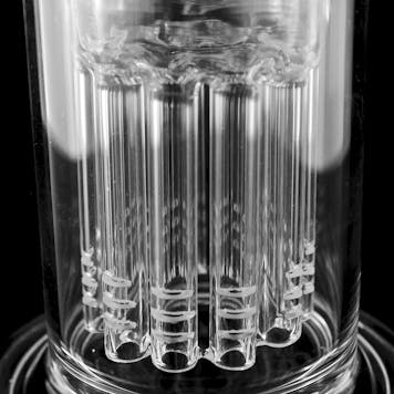 Photo of 8" Tree Perc Curved-Neck