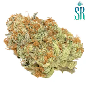 Photo of Tropical Heat