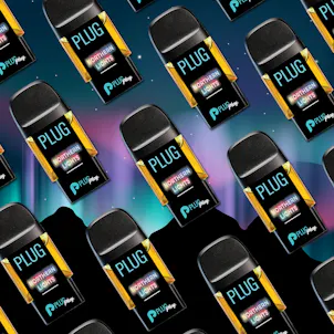 Photo of PLUGPLAY™ | PLUG™ Pod | Washington | Northern Lights | 1g