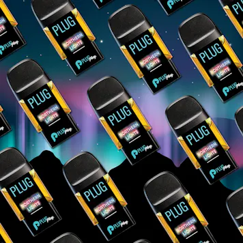 Photo of PLUGPLAY™ | PLUG™ Pod | Washington | Northern Lights | 1g