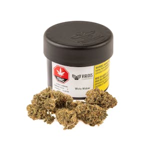 Photo of White Widow