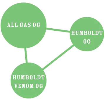 Photo of All Gas OG Regular Seeds 20-Pack