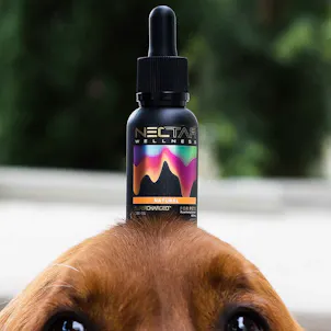 Photo of Supercharged™ CBD Oil - For Pets