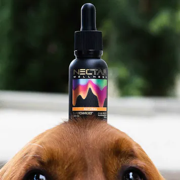 Photo of Supercharged™ CBD Oil - For Pets