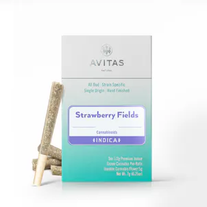 Photo of Strawberry Fields 10pk Pre-Roll 5g