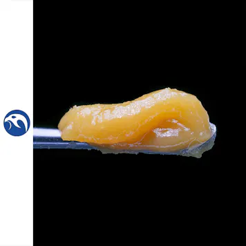 Photo of Sea Monkey Wax 1g