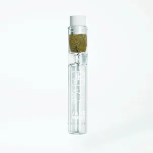 Photo of Jane West Day Pre-Pack 0.3g