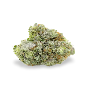 Photo of Bruce Banner Feminized Seeds