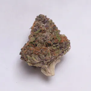 Photo of Purple Hindu Kush