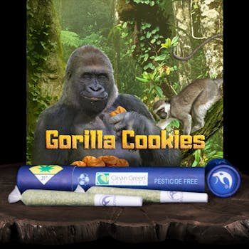 Gorilla Cookies (B) Prerolls 2pk x 0.6g by Falcanna