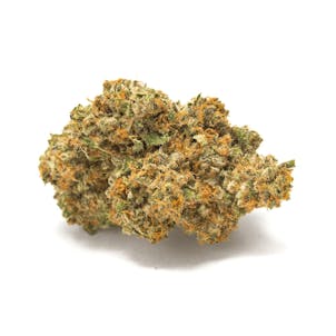 Photo of Mango Kush