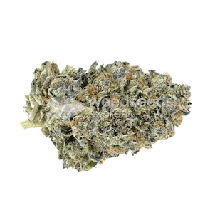 Photo of Oreoz Feminized Seeds