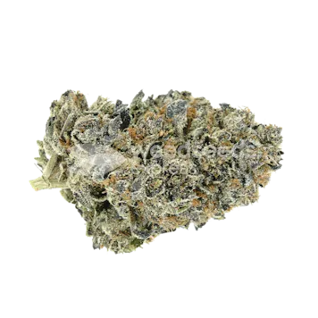 Photo of Oreoz Feminized Seeds