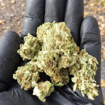 Photo of Blessed Hellride