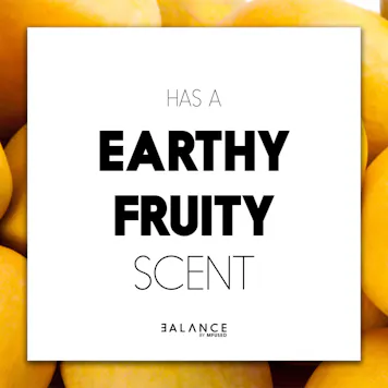 Photo of BALANCE - Mango Splash 20:1 High CBD Cartridge