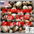 Product image for Stardawg Feminized Cannabis Seeds | 100 Seed Bulk Packs