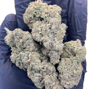 Photo of Indoor Hopefully Hemp