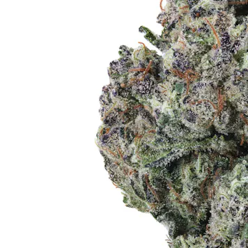 Photo of Blueberry High THCa Hemp Flower