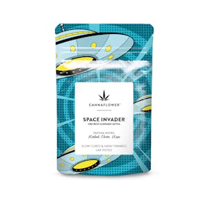 Photo of Space Invader