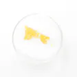 Product image for Cotton Candy Kush Live Resin Shatter 1g
