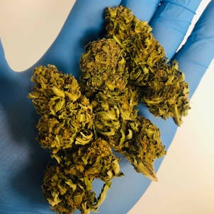 Photo of Outdoor Cherry CBD Hemp Flower