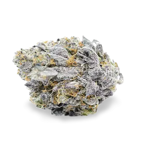 Photo of Granddaddy Purple Autoflower Seeds