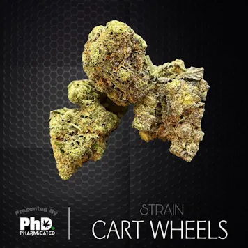 Photo of PhD Indoor Flower -Cart Wheels