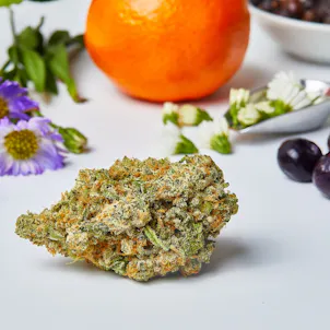 Photo of Lilac Diesel