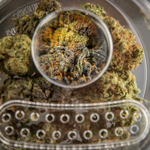 Photo of Sensory Pod™