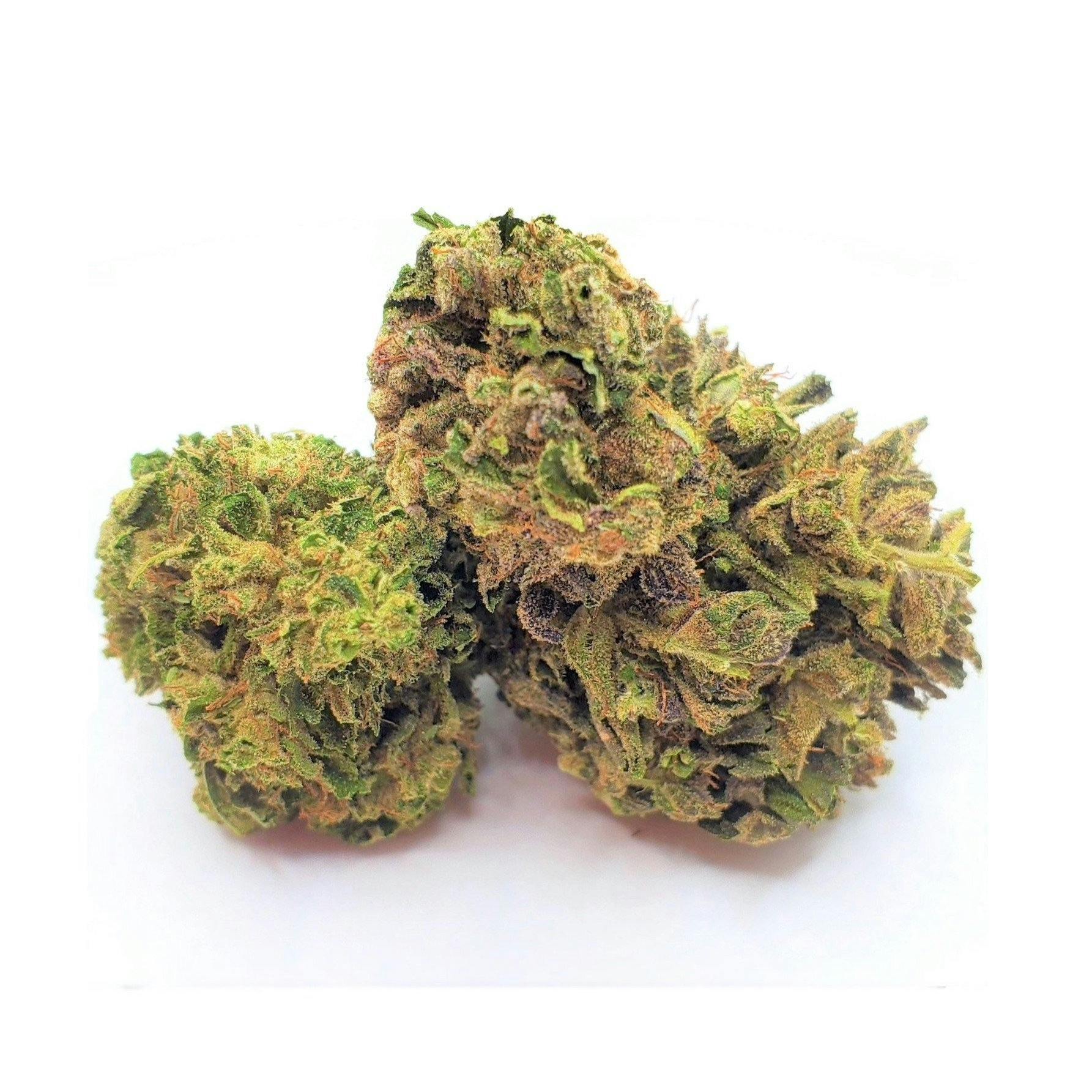 Simply Crafted Free Shipping Save 25 with code LEAFLY Super Sour