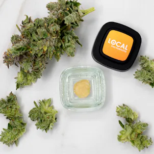 Photo of GMO x Glue Rosin