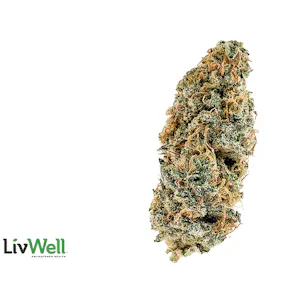 Photo of Garlic Cookies x Grapefruit
