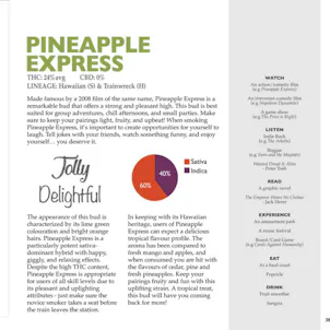 Photo of Big Shiny Buds Vol.1