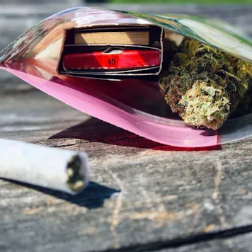 Photo of The Barrier Bag | Small & Medium | Restock coming soon