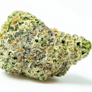 Photo of G.A.S. (Great Aunt's Secret)