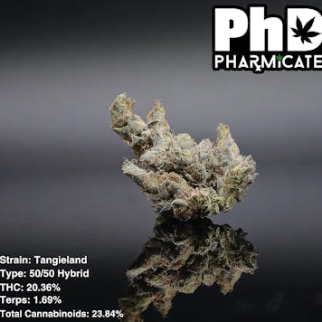 Photo of PhD - Tangieland Flower - 20.36% THC