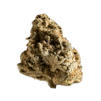 Photo of Tutti Frutti