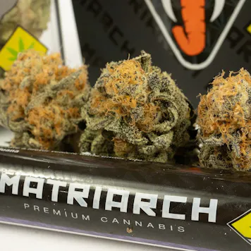 Photo of Peanut Butter Breath
