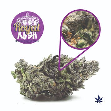 Photo of Royal Kush