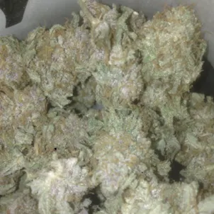 Photo of Chocolate Hashberry