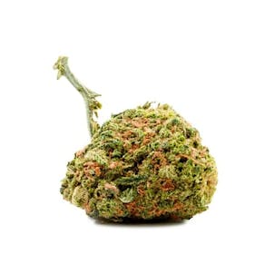 Photo of Limoncello Kush CBD Feminized