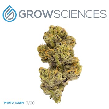 Photo of Truffaloha (3.7)