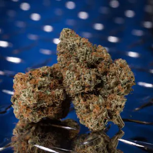 Photo of LA Confidential