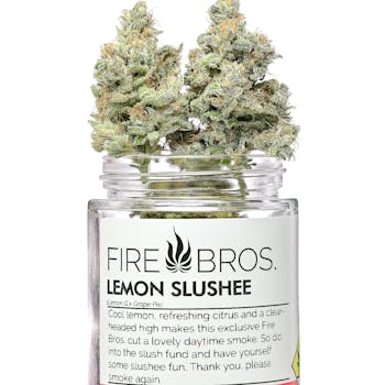 Lemon Slushee 1g - Firebros