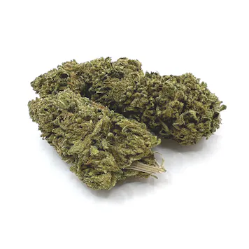 Photo of Spec Diesel