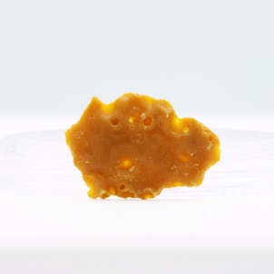 Photo of Great White Shark Crumble